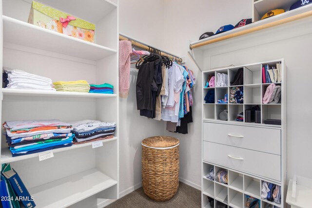 walk in closet with carpet flooring