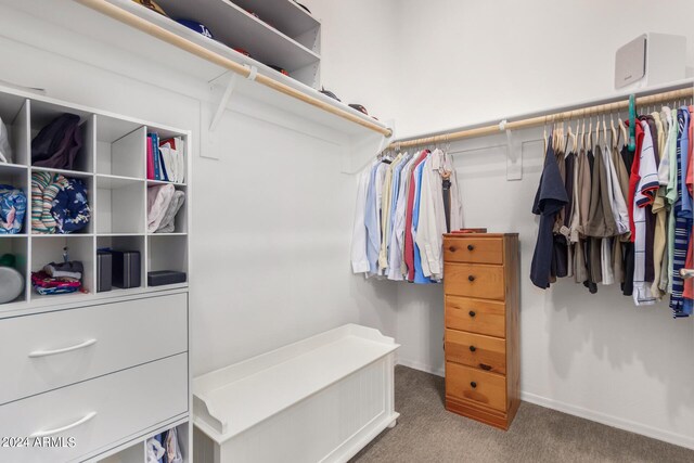 walk in closet with carpet