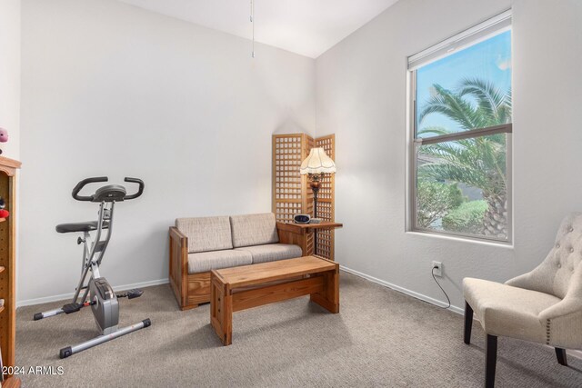 sitting room featuring carpet floors