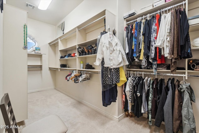 spacious closet with light colored carpet