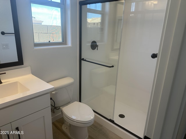 bathroom with toilet, vanity, wood finished floors, and a shower stall