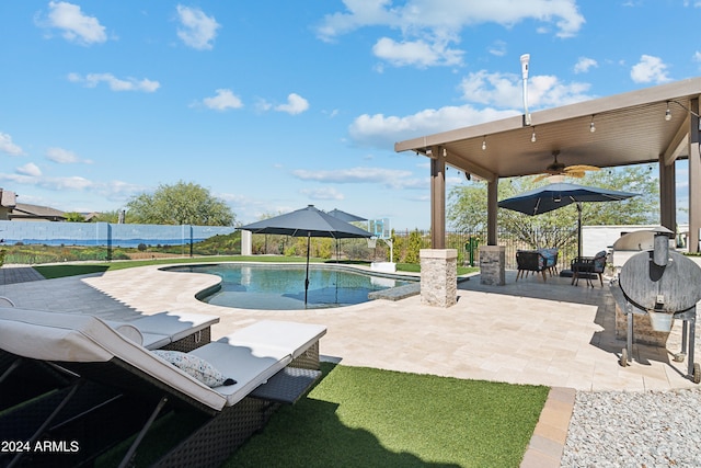 view of swimming pool featuring a patio