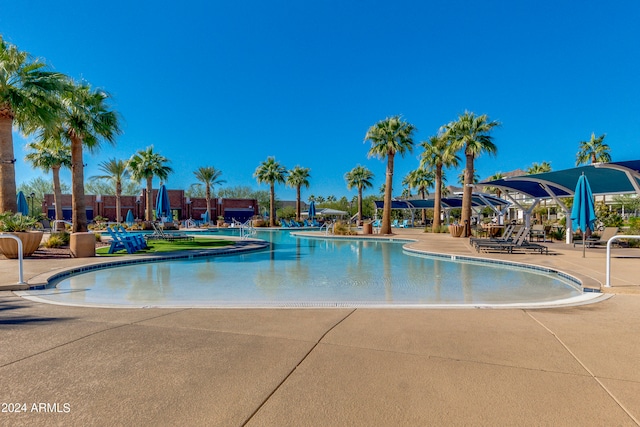 view of swimming pool