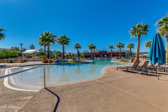 view of pool with a patio