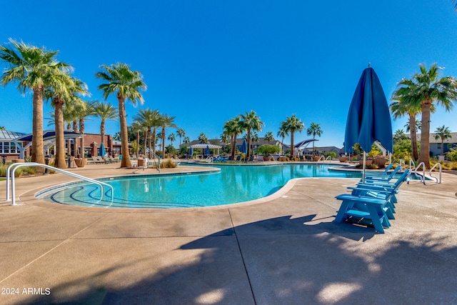 view of pool featuring a patio