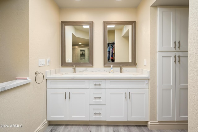 bathroom with hardwood / wood-style flooring and vanity