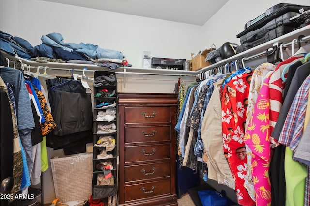 view of spacious closet