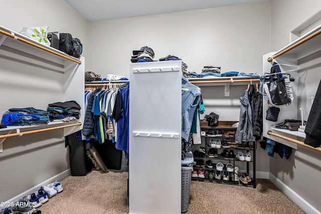 walk in closet featuring carpet