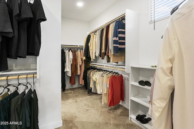 walk in closet featuring carpet floors