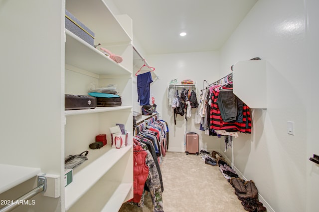 spacious closet with carpet