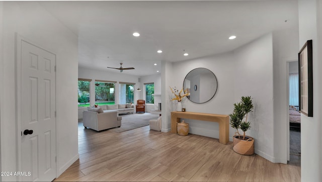 living room featuring ceiling fan and light hardwood / wood-style flooring