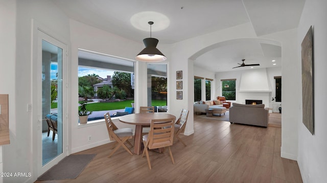 dining area featuring ceiling fan, a healthy amount of sunlight, light hardwood / wood-style floors, and a fireplace