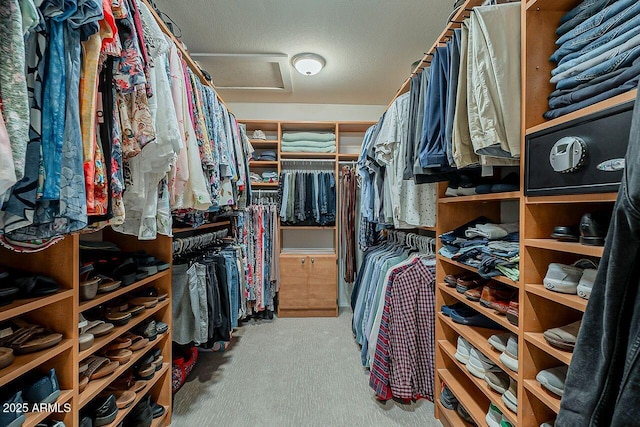 spacious closet featuring attic access and carpet flooring