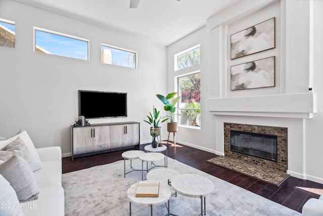 living room featuring dark wood-type flooring