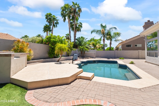 view of pool featuring a patio area