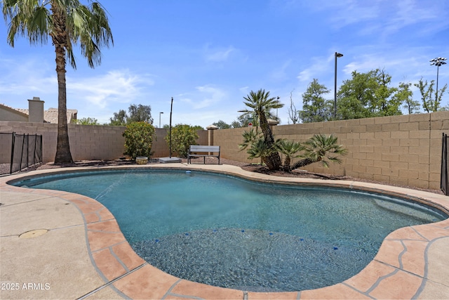 1244 W Straford Ave, Gilbert, AZ 85233 - view of pool featuring a fenced backyard