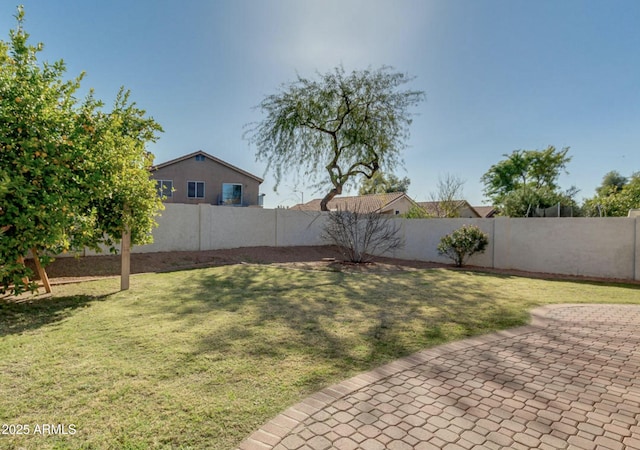 view of yard featuring a patio area