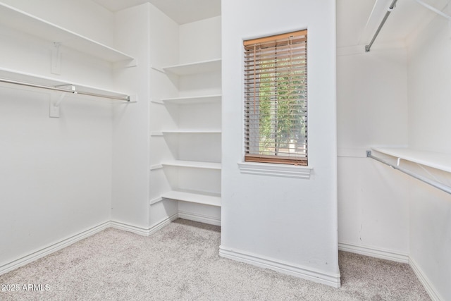 spacious closet featuring carpet floors