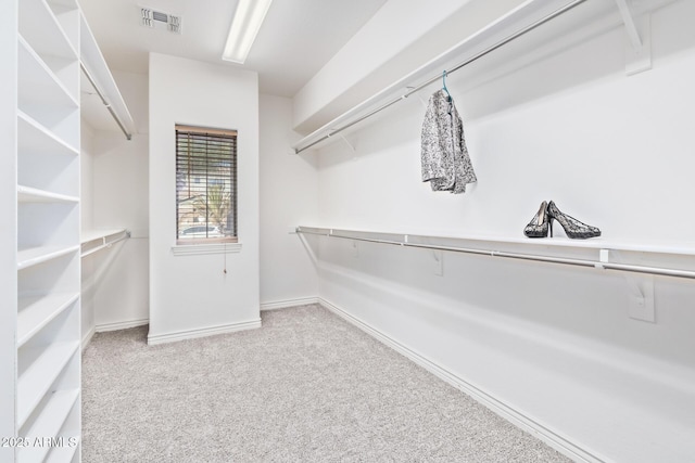 spacious closet featuring visible vents and carpet floors