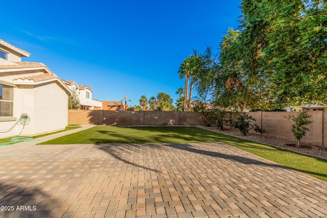 view of yard featuring a fenced backyard and a patio area
