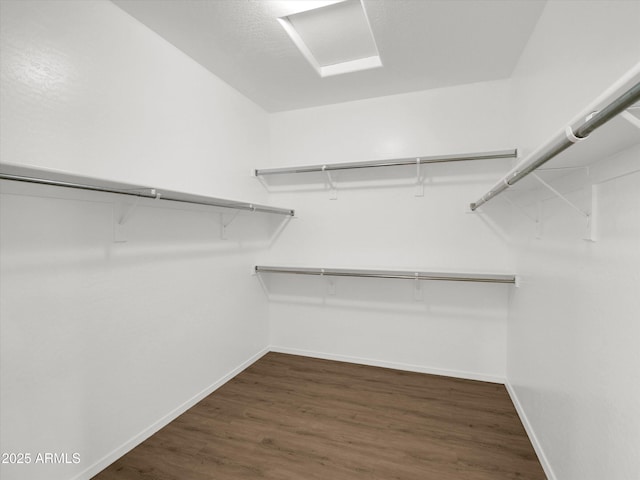 spacious closet with dark hardwood / wood-style flooring