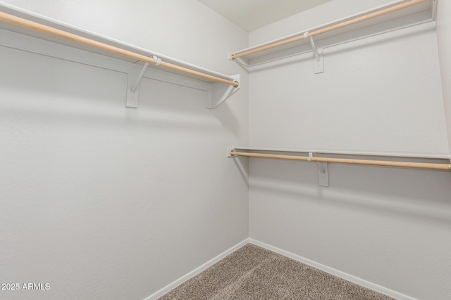 spacious closet with carpet floors