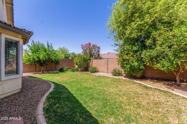 view of yard with a fenced backyard