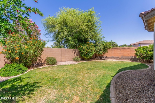 view of yard with a fenced backyard