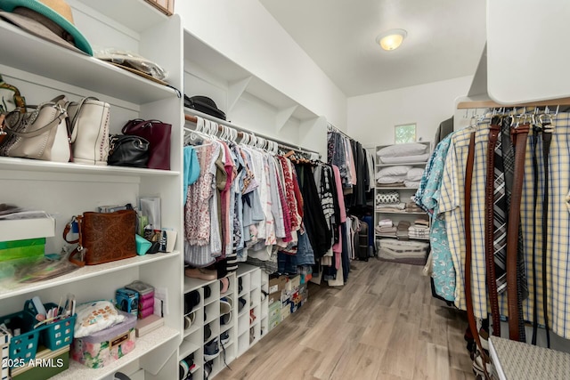 walk in closet featuring wood finished floors