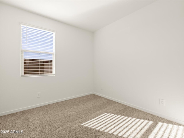 empty room featuring carpet floors