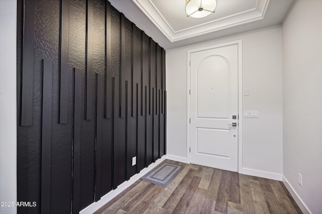 entryway featuring a tray ceiling and wood-type flooring