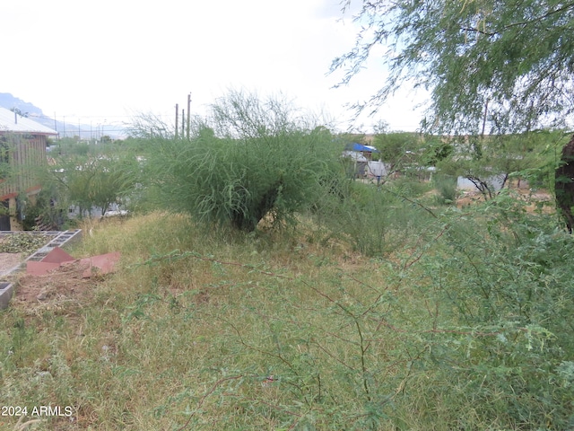 100BLK N Neary Ave Unit 8, Superior AZ, 85173 land for sale