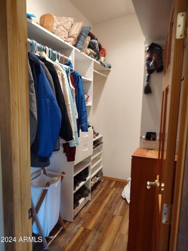 spacious closet featuring wood-type flooring