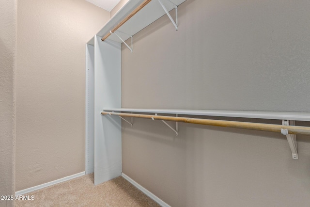 3434 E Baseline Rd Unit 126, Phoenix, AZ 85042 - walk in closet featuring light carpet