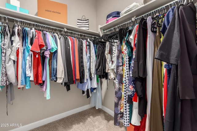 1297 W Chillingham Rd W, San Tan Valley, AZ 85143 - walk in closet with carpet flooring