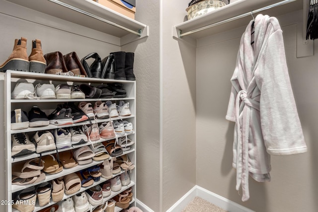 1297 W Chillingham Rd W, San Tan Valley, AZ 85143 - view of walk in closet