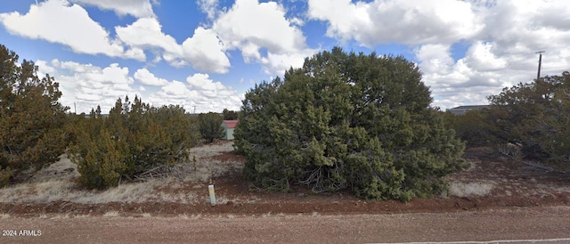 8429 Juniper Pl Unit 15, Show Low AZ, 85901 land for sale