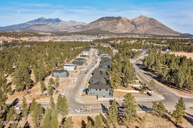 aerial view with a mountain view