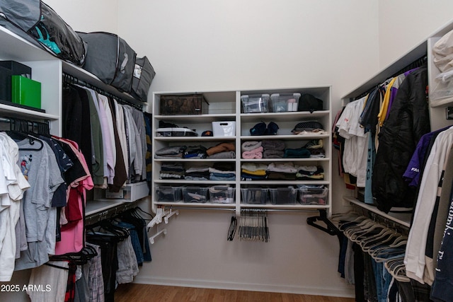 spacious closet featuring wood finished floors