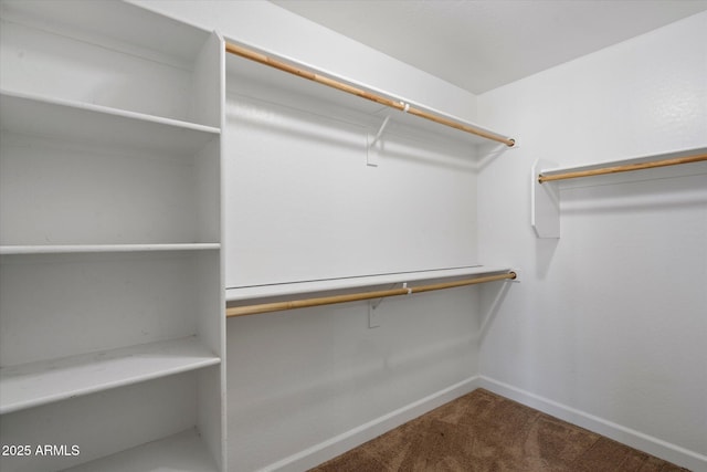 2487 S Conestoga Rd, Apache Junction, AZ 85119 - walk in closet with carpet