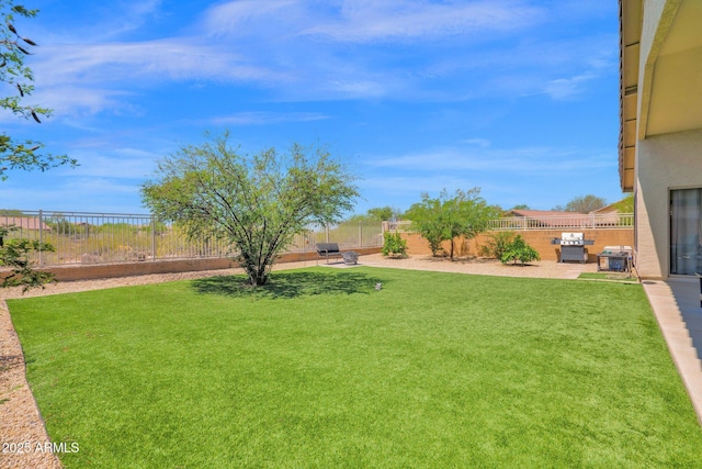 4611 E Night Glow Dr, Cave Creek, AZ 85331 - view of yard