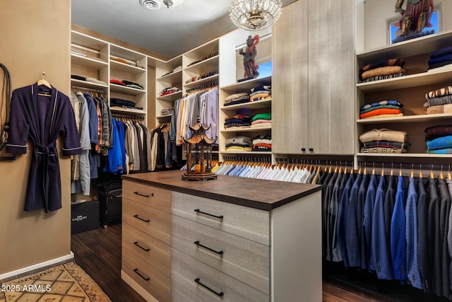 spacious closet featuring dark hardwood / wood-style floors