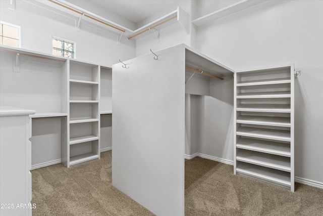 walk in closet featuring carpet