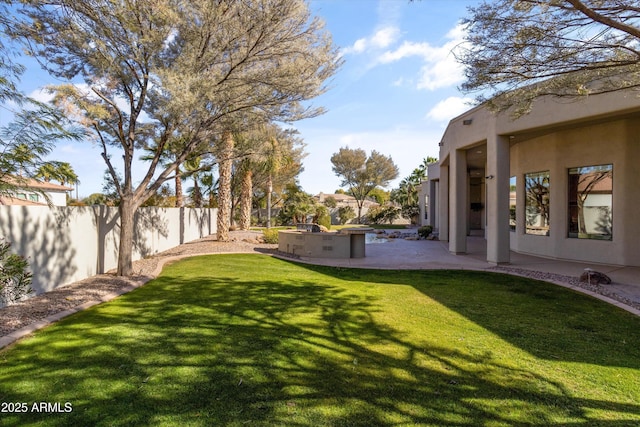 view of yard with a patio