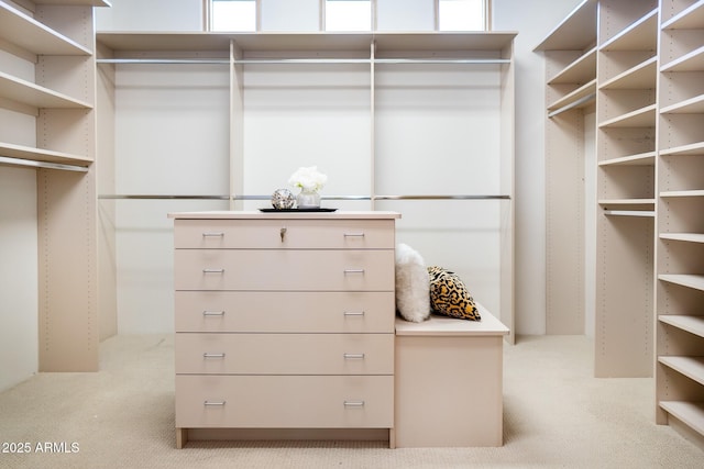 spacious closet featuring light colored carpet