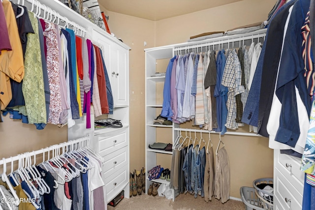 3859 N El Sereno St, Mesa, AZ 85207 - view of spacious closet