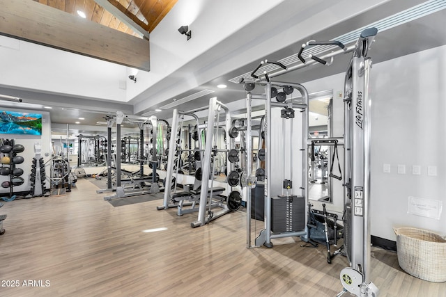 3859 N El Sereno St, Mesa, AZ 85207 - workout area featuring wood finished floors