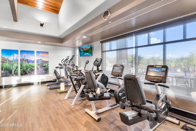 3859 N El Sereno St, Mesa, AZ 85207 - workout area featuring wood finished floors and a high ceiling