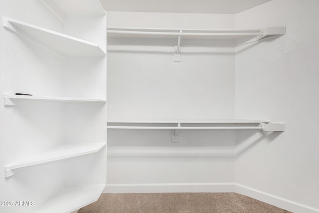 walk in closet featuring carpet floors