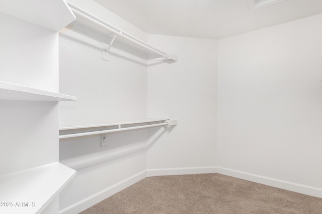 walk in closet with carpet